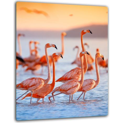 PIASTRA DI PROTEZIONE IN VETRO PER INDUZIONE 40x52 FLAMINGOS (1/5)