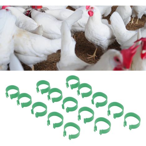 100 anneaux pour pattes de volaille à boucle ouverte, pour l'élevage de poulets, canards et oies. Accessoire pour volailles, vert, 18 mm. (1/5)