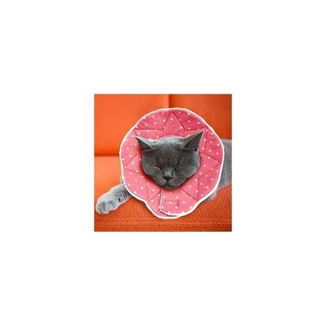 Collerette post‑chirurgie confortable pour chien et chat, imperméable, réglable – (1/2)