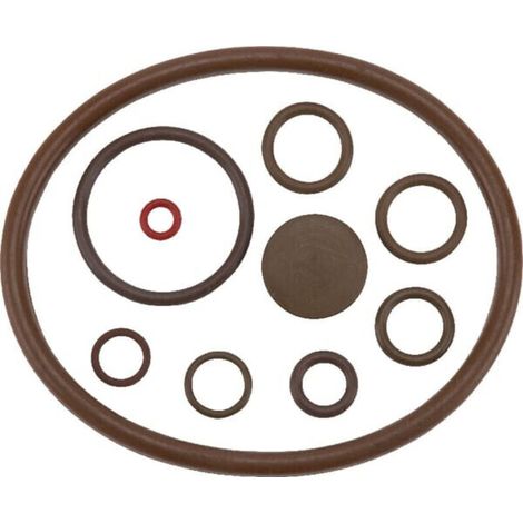 Kit Joints - Viton - Pour Modèles Pro - Référence 4900577 - 1 Pièce (1/2)