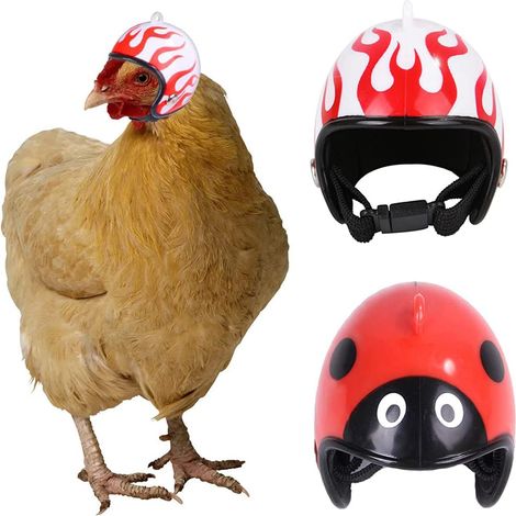 Lot de 2 casques pour poules, casques de protection pour oiseaux, chapeaux ajustables pour petits animaux de compagnie (1/3)