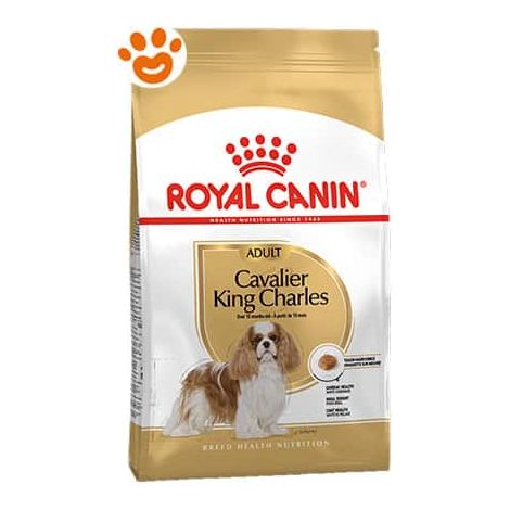 Royal Canin Dog Adult Cavalier King Charles - Sacco 1,5 Kg - Cibo Secco Cani