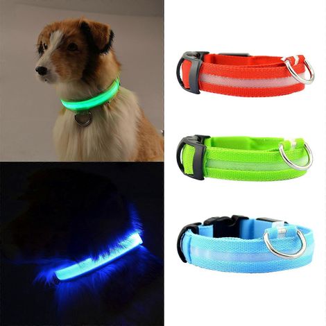 Collier de sécurité lumineux clignotant, solide et durable, cadeau idéal pour chiot - Taille M - Bleu (1/4)