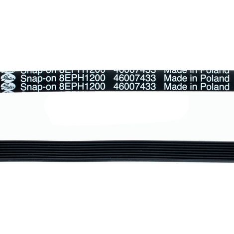 Correa 1200H8 para lavadora CANDY - 46000003 (1/2)