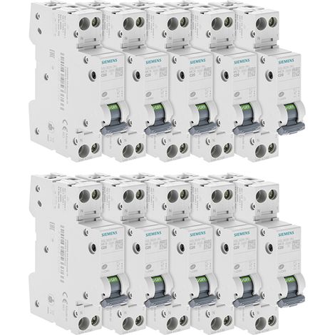 Lot de 10 Disjoncteurs électriques phase + neutre 20A (1/4)