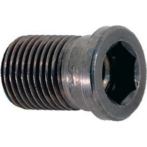Pièces de rechange, porte-outil SO 95° SCLCR/L, Modèle : Douille taraudée 6 pans