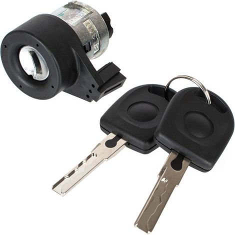 Satz mit 2 Schlüsseln + Zündschlosseinsatz für Seat Ibiza III (2002-2009) (1/2)