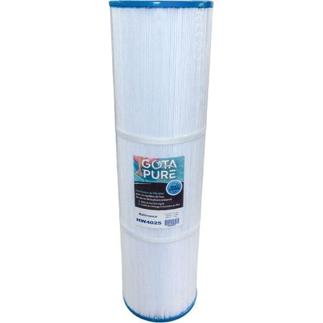 Filtre piscine HW4025 Gota Pure pour Hayward CX880XRE / C4000 / C4025 / C4030 (1/5)