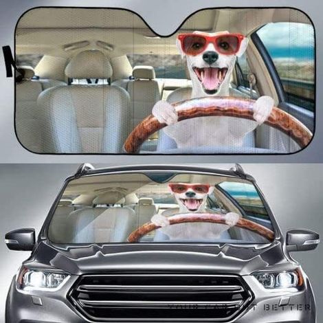Pare Soleil Voiture Brise Avant Funny Owl Family Conduite À