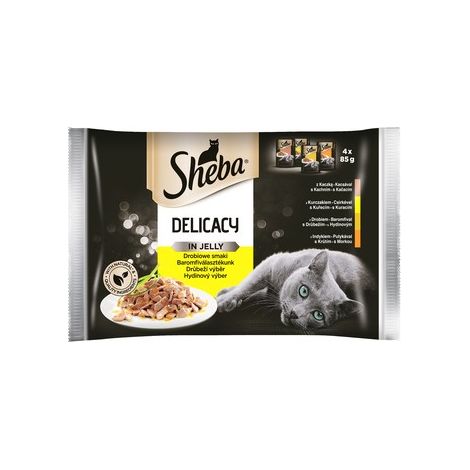 Sheba Delicacy en gelatina, colección para adultos con sabores a pollo, alimento húmedo para gatos (4 x 85 g).