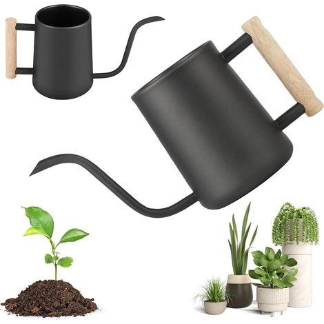 Arrosoir d'Intérieur 1 L/35 oz en Acier Inoxydable avec Poignée en Bois et Bec Verseur Long et Fin pour Plantes (1/5)