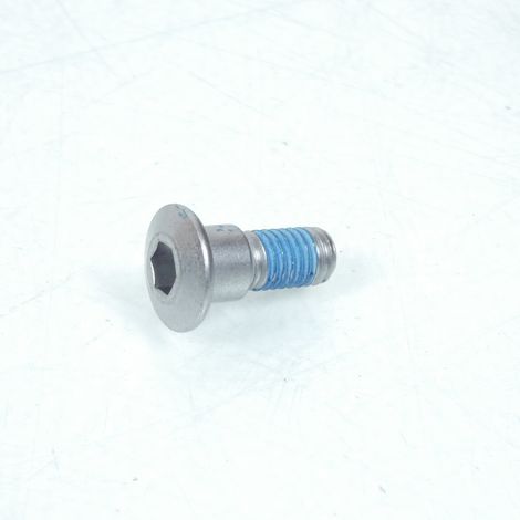 Vis M8 pour disque frein AV pour scooter Suzuki 250 Burgman (1/4)