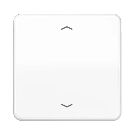 Jung Tecla 1 vez, con símbolos de flecha, Duroplast, Serie CD, blanco alpino CD 590 P WW