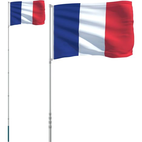 Drapeau de la France et mât 5,55 m Aluminium vidaXL