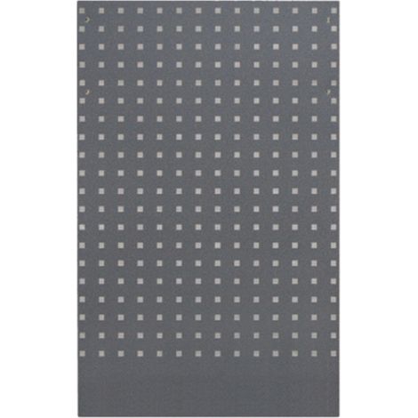 Panneau arrière perforé 614x1052x24 mm WES1324.1