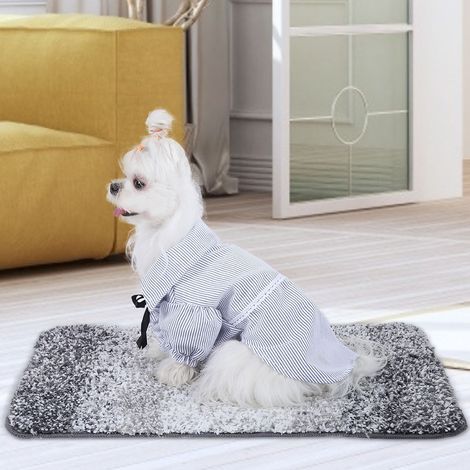 Vêtements pour animaux de compagnie : T-shirts pour chiens et chats, T-shirt mignon pour chiot (Bleu, taille S) (1/5)
