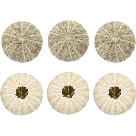 Lot de 6 pots pour plantes aériennes, décor de table en forme d'oursin de mer, pour loisirs créatifs.-5.00X5.00X2.60CM-Green