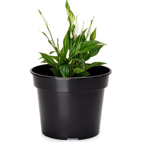 Garronda Pots Horticulture Ronds Pots pour Culture de Plants de Plantes et Fleurs GD-0025 (Noir, ⌀ 15 cm H 11,5 cm)