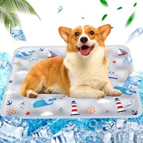 Tapis Coussin rafraichissant pour chien Injection d'eau,Tapis Refroidissement chat Matelas, Tapis rafraîchissant pour Animaux de Compagnie Matelas, 50 x 60cm, L, Gris (1/5)