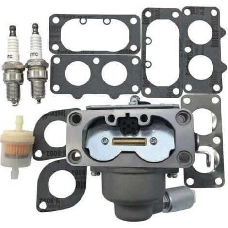 Carburateur Briggs Stratton 791230 699709 499804 405777 406777 (1/5)