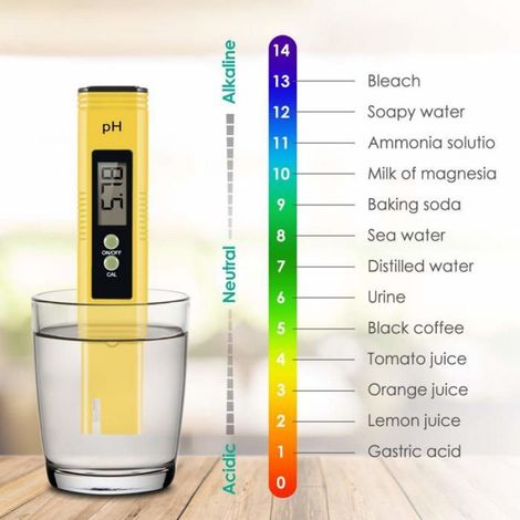 Testeur PH Mètre Électronique,Haute Précision Mini Stylo pH de Qualité pour Compteur D'eau Écran LCD et Précision de Lecture (1/4)