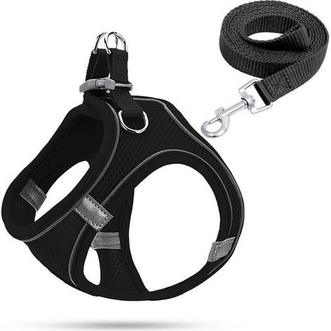 BelleRise - Harnais Chiot,Garnais Chien Lumineux,Harnais Anti Traction pour Petit Chien(Noir,M) (1/5)