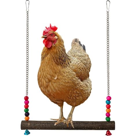 pour poulailler Bois naturel avec clochettes – d'escalade pour cage de poussin, escalade, jeu d'enrichissement de mastication, cage de volaille dans le jardin (1/5)