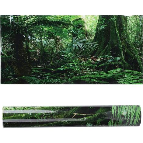Aquarium autocollant, PVC Reptile Box Rainforest Fond Affiche Affiche Piscing Mur Pimage de peinture Decoration Auto-adhésif Autocollant (76 46cm) (1/5)