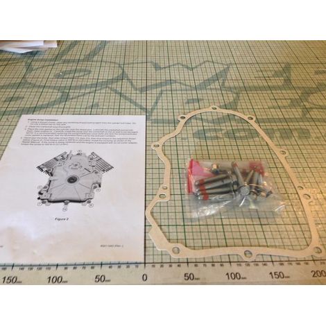 GUARNIZIONE MOTORE BRIGGS&STRATTON  VITI 594195 ORIGINALE (1/2)