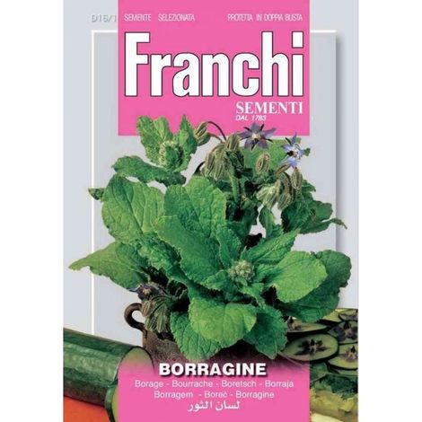 SEMI DI BORRAGINE FRANCHI SEMENTI