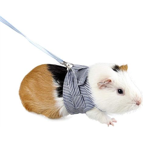 Harnais pour petit animal de compagnie Laisse de cochon d'inde Sangle de poitrine de marche pour petit animal (bleu) L (1/4)