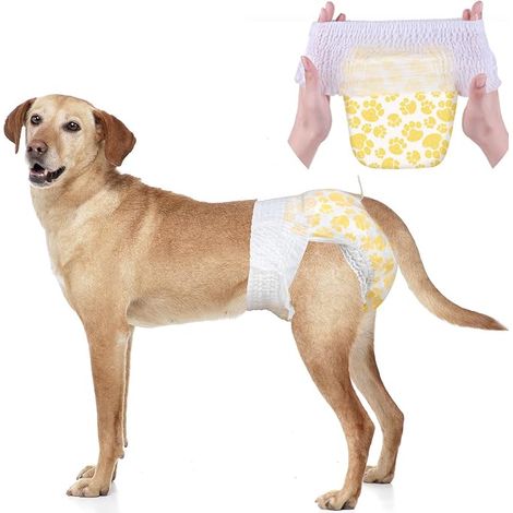 Couche Chien Femelle - Couches Chiens Chats Culotte chiennes chaleurs Couche Chien Incontinent à Enfiler adaptées incontinence Dressage Voyages XS S M L (1/5)