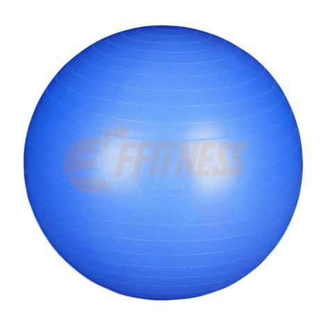 FITBALL PALLA SVIZZERA diametro 55cm FFitness