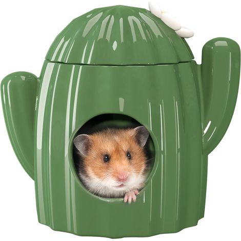 Maison de Hamster en Céramique – Cachette et Habitats de Hamster en Forme de Cactus Idéal pour Nain Gerbille Souris - MMCD-ZGL-05408 (1/5)