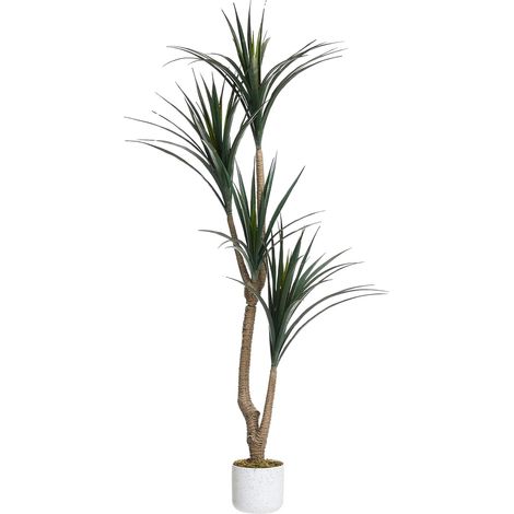 Dracena artificiale, design realistico, facile da curare, verde, 165 cm (1/2)