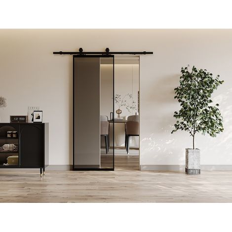 Porte coulissante avec système en applique - aluminium et verre trempé fumé - H205 x L63 cm - LINCI II (1/4)