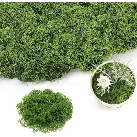 Mousse Artificielle pour Décoration Plante Artificielle Tapis de Mousse Verte pour Terrarium Bonsaï et Bricolage DIY (1/5)