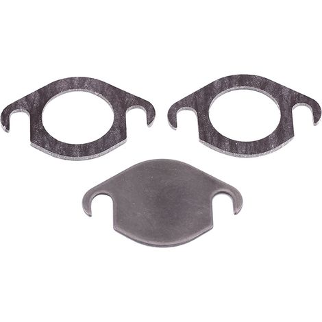 Kit de plaque d'obturation de vanne EGR avec joint, compatible avec SEAT GALAXY TDI (1/5)