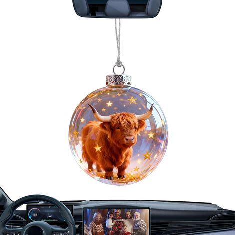 Boules Décoratives De Noël pour Sapin Décorations De Fêtes en Boule Animale  Ornement De Noël Accrochable Pour Mur Bureau Couronne Cheminée Jardin Escalier Porte d'Entrée Rebord de (1/5)