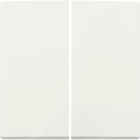 ION Industries Interrupteur Blanc Hxl2.3xLcm