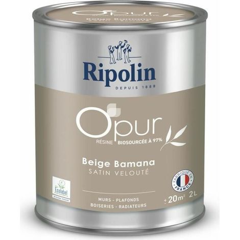 Vernice di Fondo Ripolin