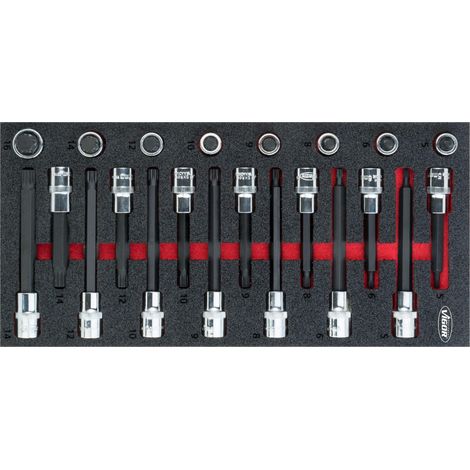 Vigor Assortiment de douilles mâles à denture multiple - V5091 (1/3)