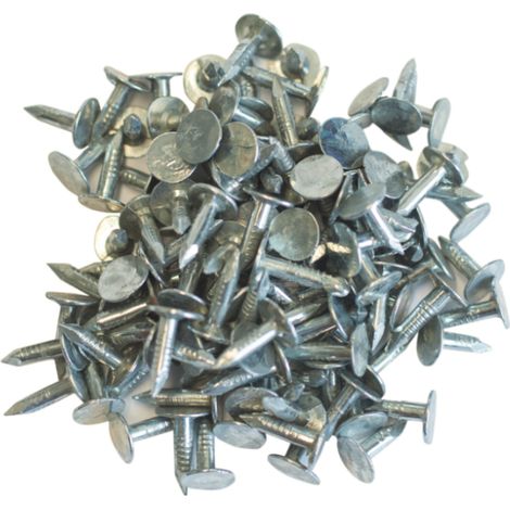 Clous pour asphalte galvanisés 3 x 15 mm - Boîte 1 KG