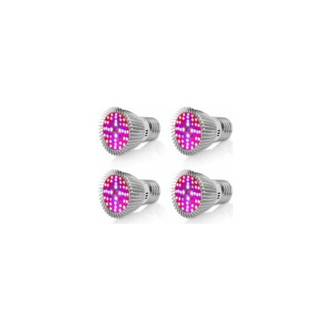 Sukkulenten-Tellerlampe, Akzentleuchte, Weiß, 5,5 Watt (4 Stück) - Crezuo (1/3)