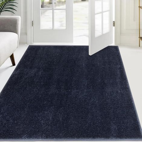 Paillasson Attrape-Poussière 120 x 180 cm, Tapis de Sol Antidérapant Lavable en Machine, Tapis d'Entrée avec Microfibres Douces Absorbantes pour Chien, Entrée, Porte et Couloir (1/5)