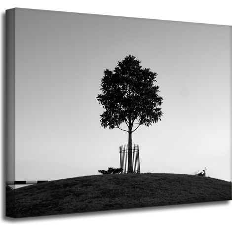 Leinwanddruck Natur Baum Schwarz-Weiß 50x40