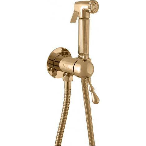 Mitigeur bidet, toilettes LABE à encastrer avec douchette en laiton doré (1/4)