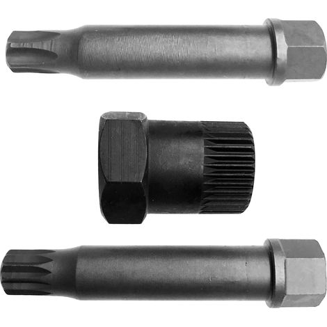 Lichtmaschinen Freilauf Nuss Set 3-teilig T50 M10 und 33-Zahn (1/5)