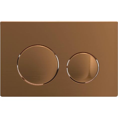 Plaque De Chasse D Eau - 245 X 165 Mm - Double Flush - Compatible Cadre Mural Universel - Plastique - 1 Piece (1/5)