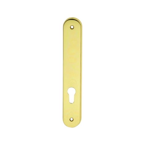 Ouvre&Déco – Plaque borgne extérieure 195mm – Laiton poli avec vernis haute résistance – Compatible cylindres standard – Pour usage extérieur
